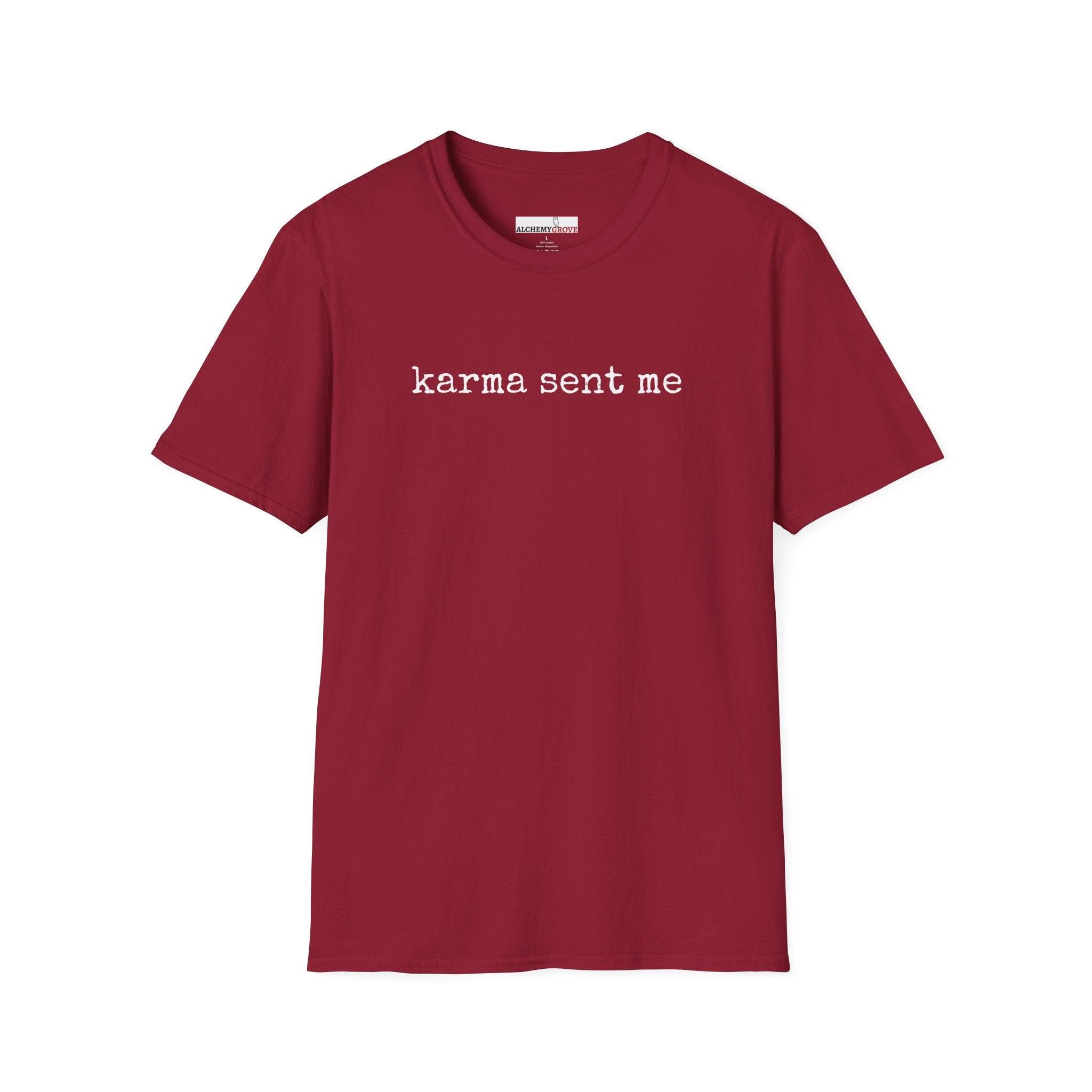 Karma Sent Me TShirt